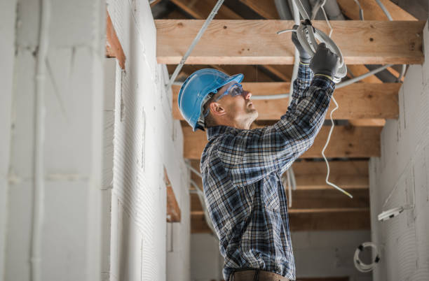 Best Electric Panel Repair  in Wynnewood, OK
